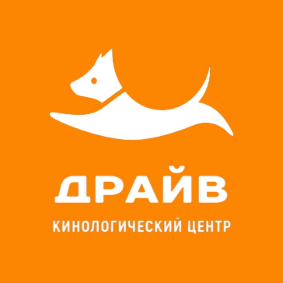 Логотип центра Драйв
