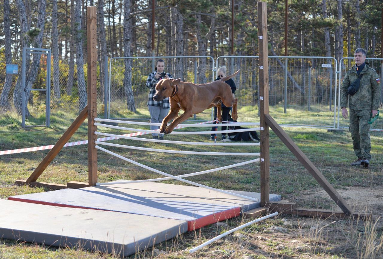 спорт 3
